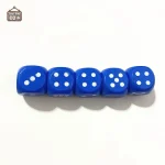 Lot de 10 dés en bois, pour des parties animées et conviviales