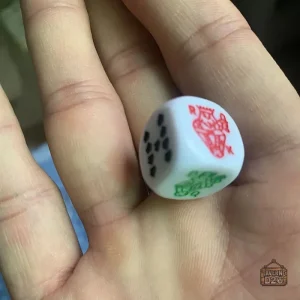 Ensemble de 10 dés, parfait pour les amateurs de poker